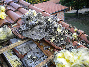 Photo K2Nett montrant la destruction du nids de frelons